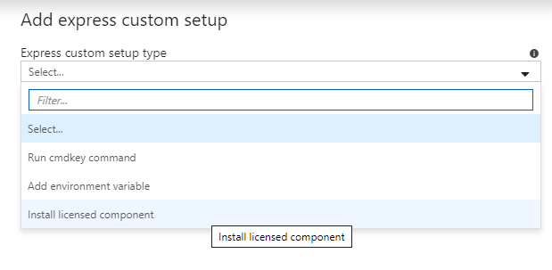 Add express custom setup